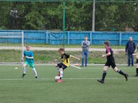 IMG_4552